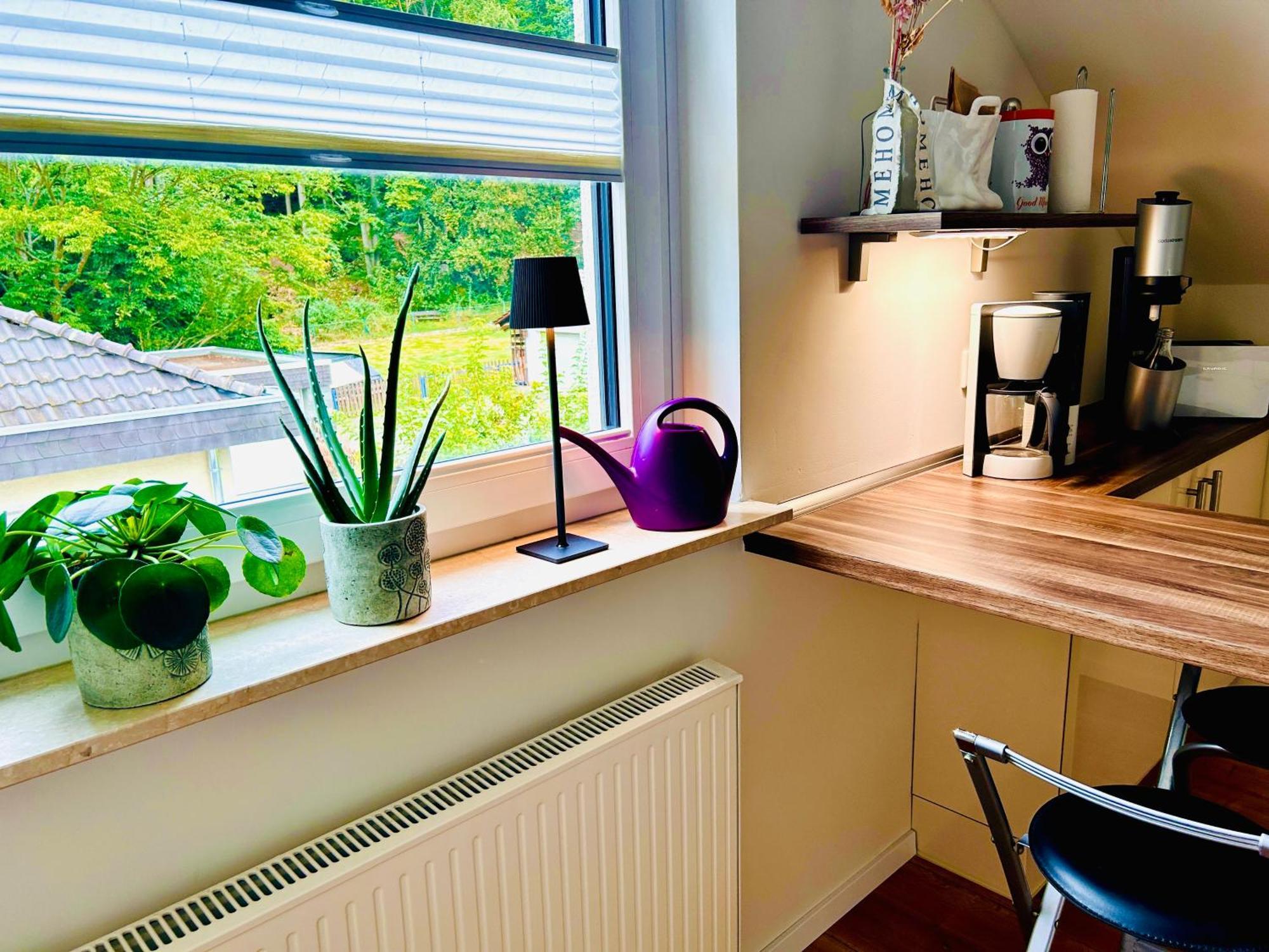 Ferienwohnung "Bei Freunden" Naumburg  ภายนอก รูปภาพ